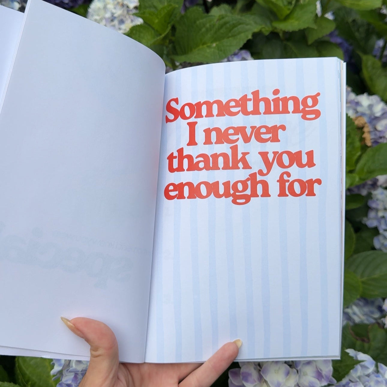 Just A Few Things I Love About You (Romantic Love Journal) For Couples