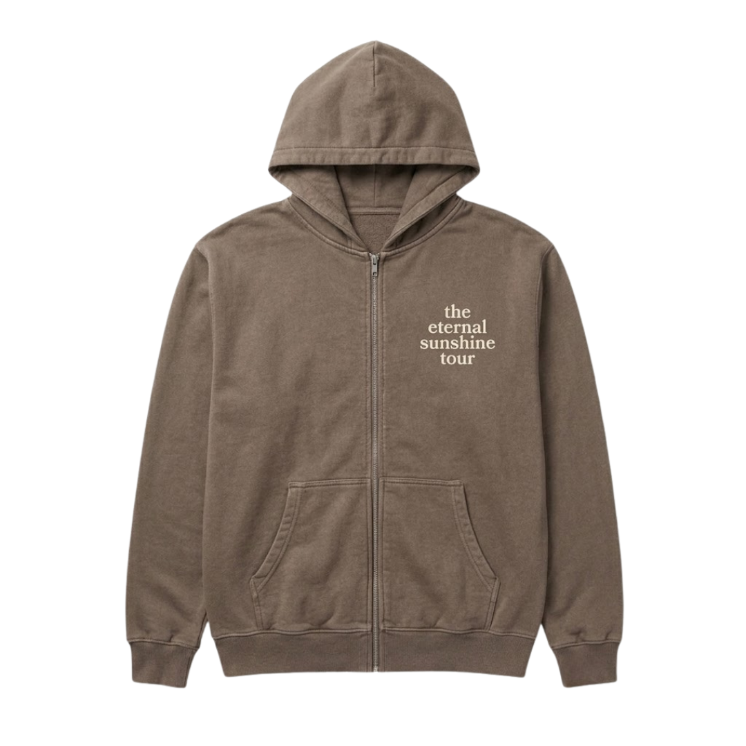 The Eternal Sunshine Hoodie Brown