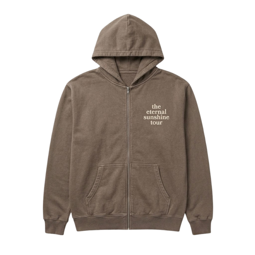 The Eternal Sunshine Hoodie Brown