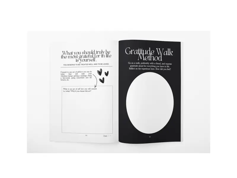 The Miracle Journal